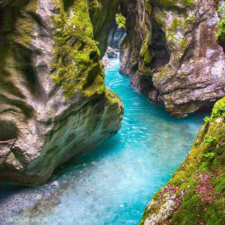 Skyblue Διαμέρισμα Tolmin Εξωτερικό φωτογραφία